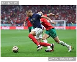 博洛尼亚vs那不勒斯：奥尔索利尼、达林加首发，麦克托米奈、霍伊伦出战