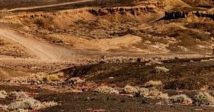 CBA战报：詹姆斯39+17&林庭谦30+10，天津111-104逆转宁波